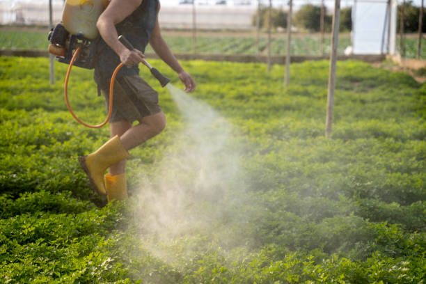 Best Commercial Pest Control Services  in Cottonwood, MN
